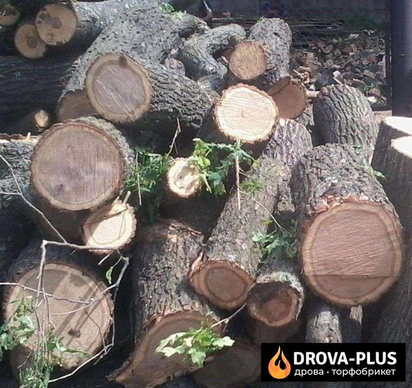 Дрова метрові Луцьк Купити рубані дрова у Drova-plus